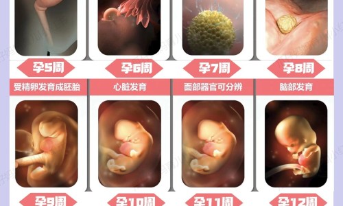 怎样才能身上长肉脸部不长肉-怎么才能脸不瘦身体瘦-怎么长壮但脸不长肉,中国怎样脸不变身上长肉网站