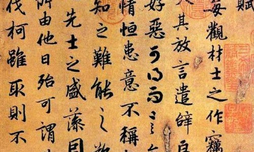怎么能脸上长肉身上不长肉-怎么才能脸不瘦身体瘦-怎么长壮但脸不长肉,中国怎样脸不变身上长肉网站